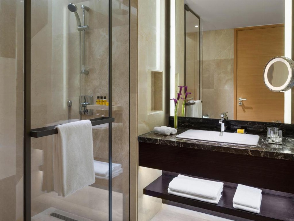 Hyatt Regency Riyadh Olaya Image 47