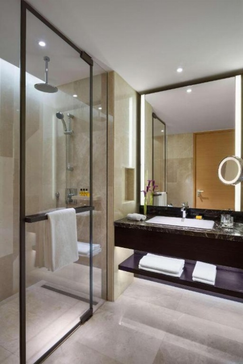 Hyatt Regency Riyadh Olaya image 8